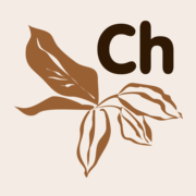 Chocolatte